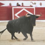 Colmenar Viejo, 26 de agosto de 2018