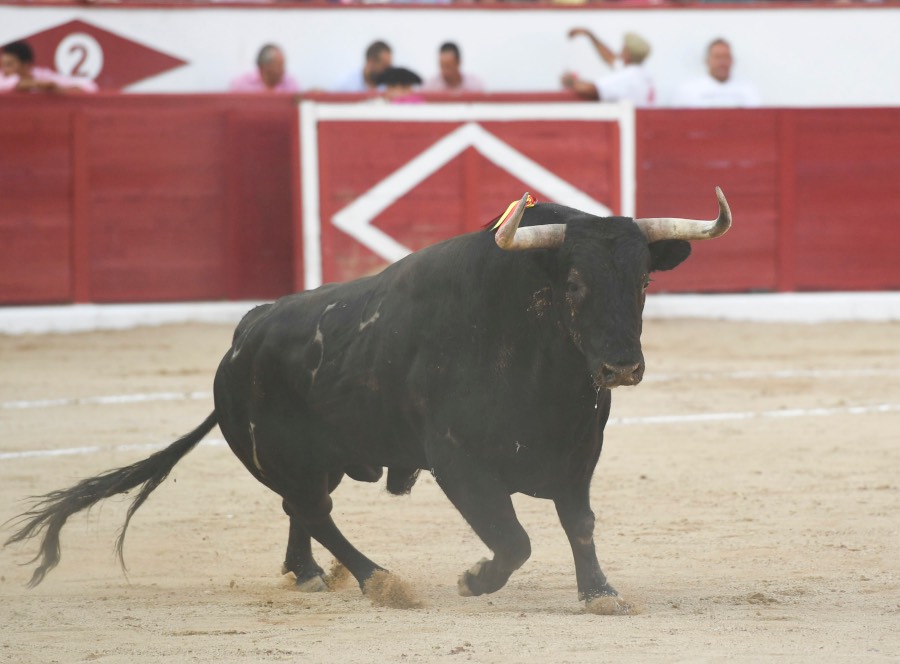 Colmenar Viejo, 26 de agosto de 2018