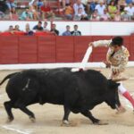 Colmenar Viejo, 26 de agosto de 2018