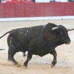 Colmenar Viejo, 26 de agosto de 2018