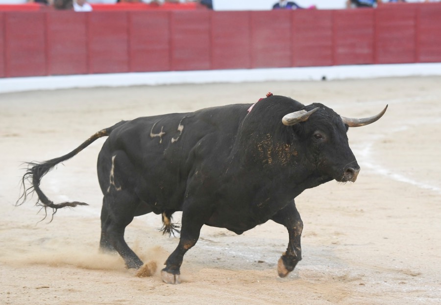 Colmenar Viejo, 26 de agosto de 2018