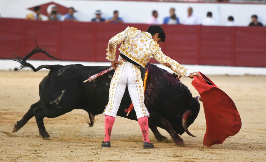 Colmenar Viejo, 26 de agosto de 2018