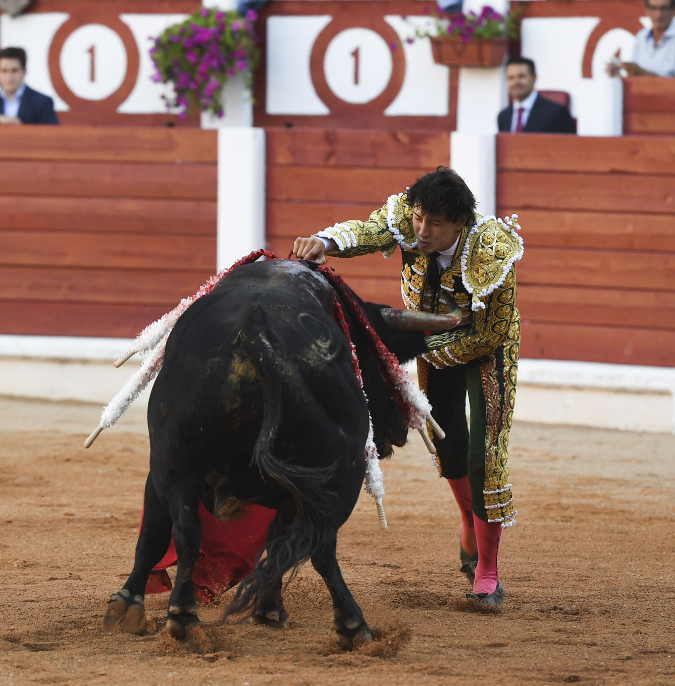 Gijón - Corrida de toros - Sábado 11 de agosto de 2018