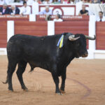 Gijón - Corrida de toros - Sábado 11 de agosto de 2018