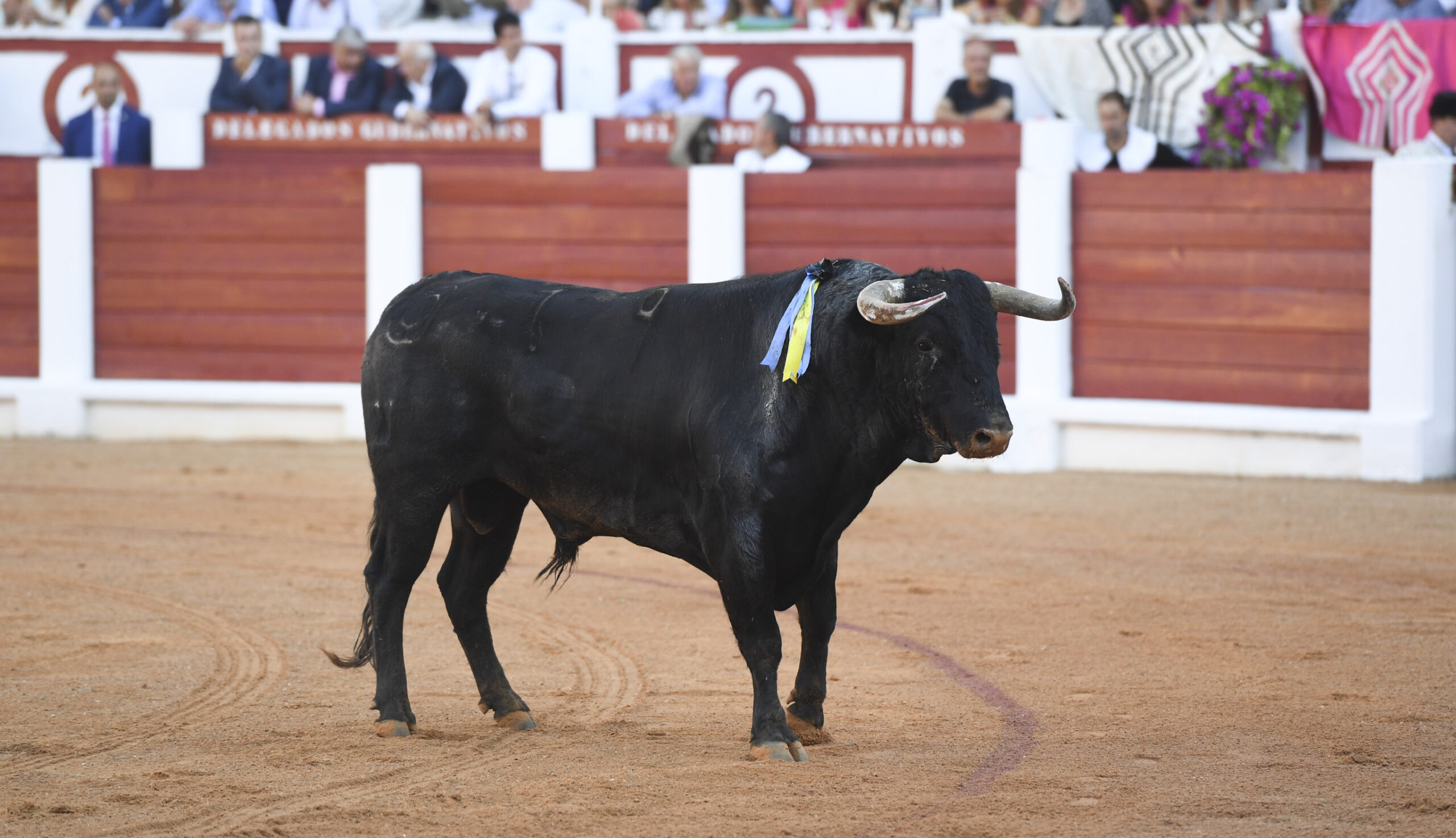 Gijón - Corrida de toros - Sábado 11 de agosto de 2018