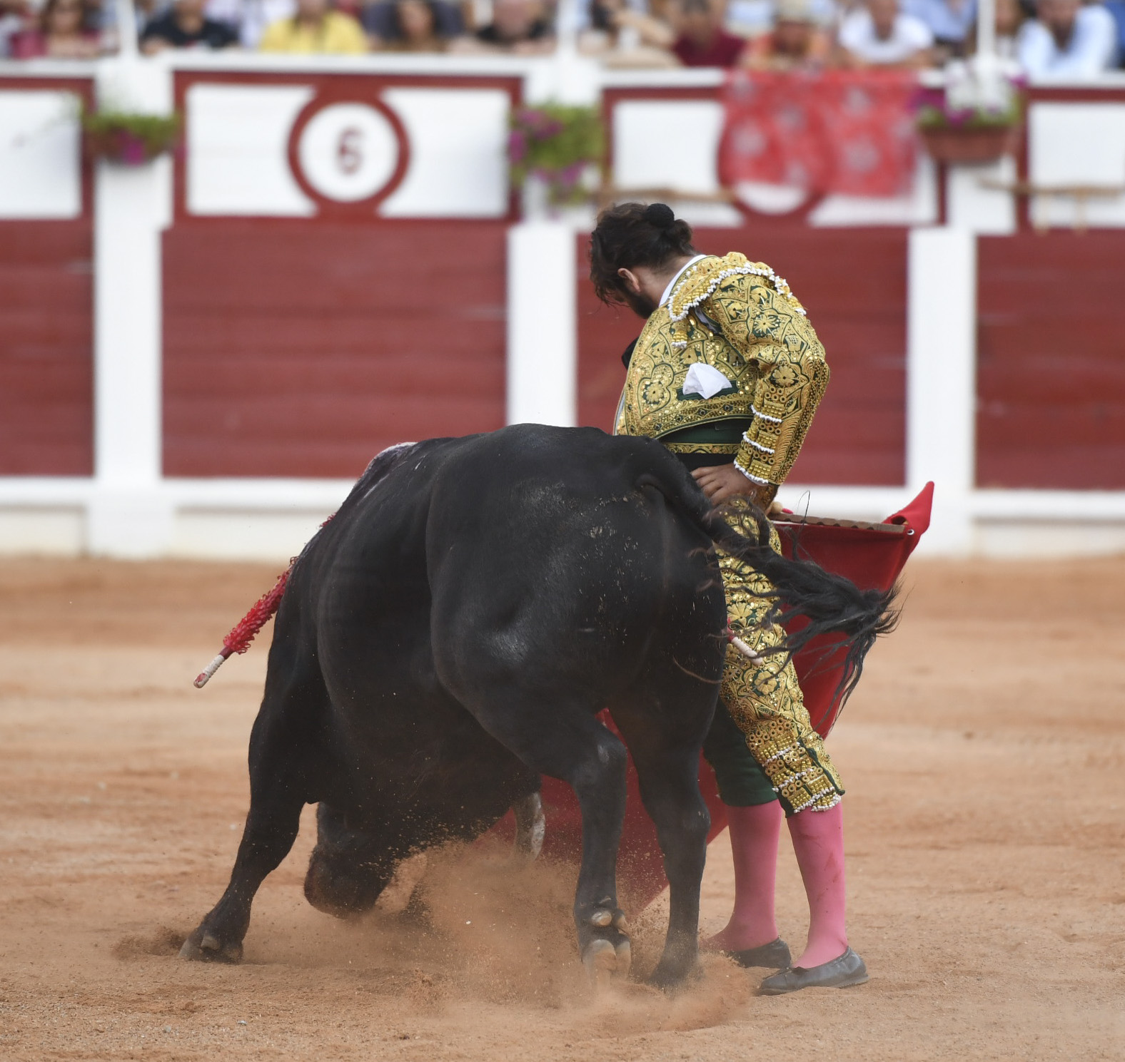 Gijón - Corrida de toros - Sábado 11 de agosto de 2018