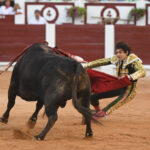 Gijón - Corrida de toros - Sábado 11 de agosto de 2018