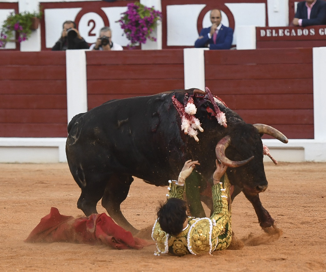 Gijón - Corrida de toros - Sábado 11 de agosto de 2018