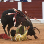 Gijón - Corrida de toros - Sábado 11 de agosto de 2018