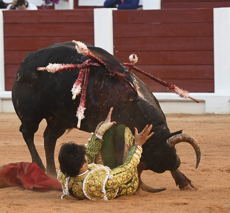 Gijón - Corrida de toros - Sábado 11 de agosto de 2018