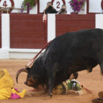 Gijón - Corrida de toros - Sábado 11 de agosto de 2018
