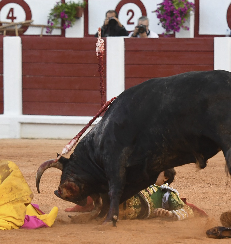 Gijón - Corrida de toros - Sábado 11 de agosto de 2018