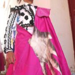 Vestido de Perera en la Picassiana