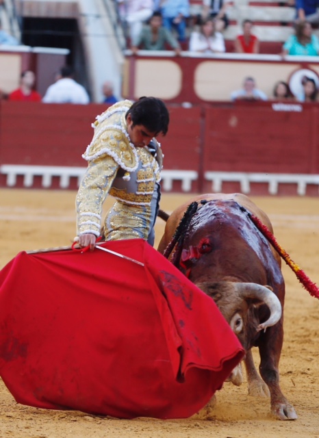 El Puerto de Santa María - Corrida de toros - Domingo 5 de agosto de 2018