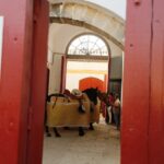 El Puerto de Santa María - Corrida de toros - Sábado 4 de agosto de 2018