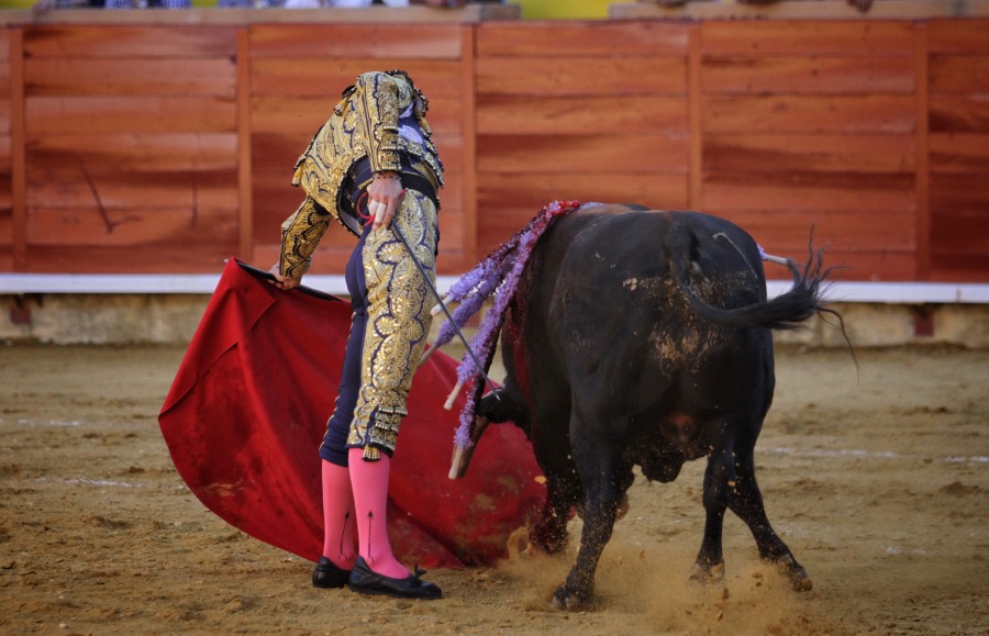 Palencia, 31 de agosto de 2018