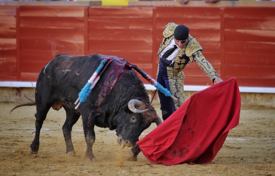 Palencia, 31 de agosto de 2018