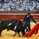 Huelva - Corrida de toros - Sábado 4 de agosto de 2018