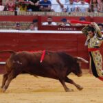 Huelva - Corrida de toros - Viernes 3 de agosto de 2018