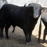 Sorteo, Colmenar Viejo 26 de agosto de 2018