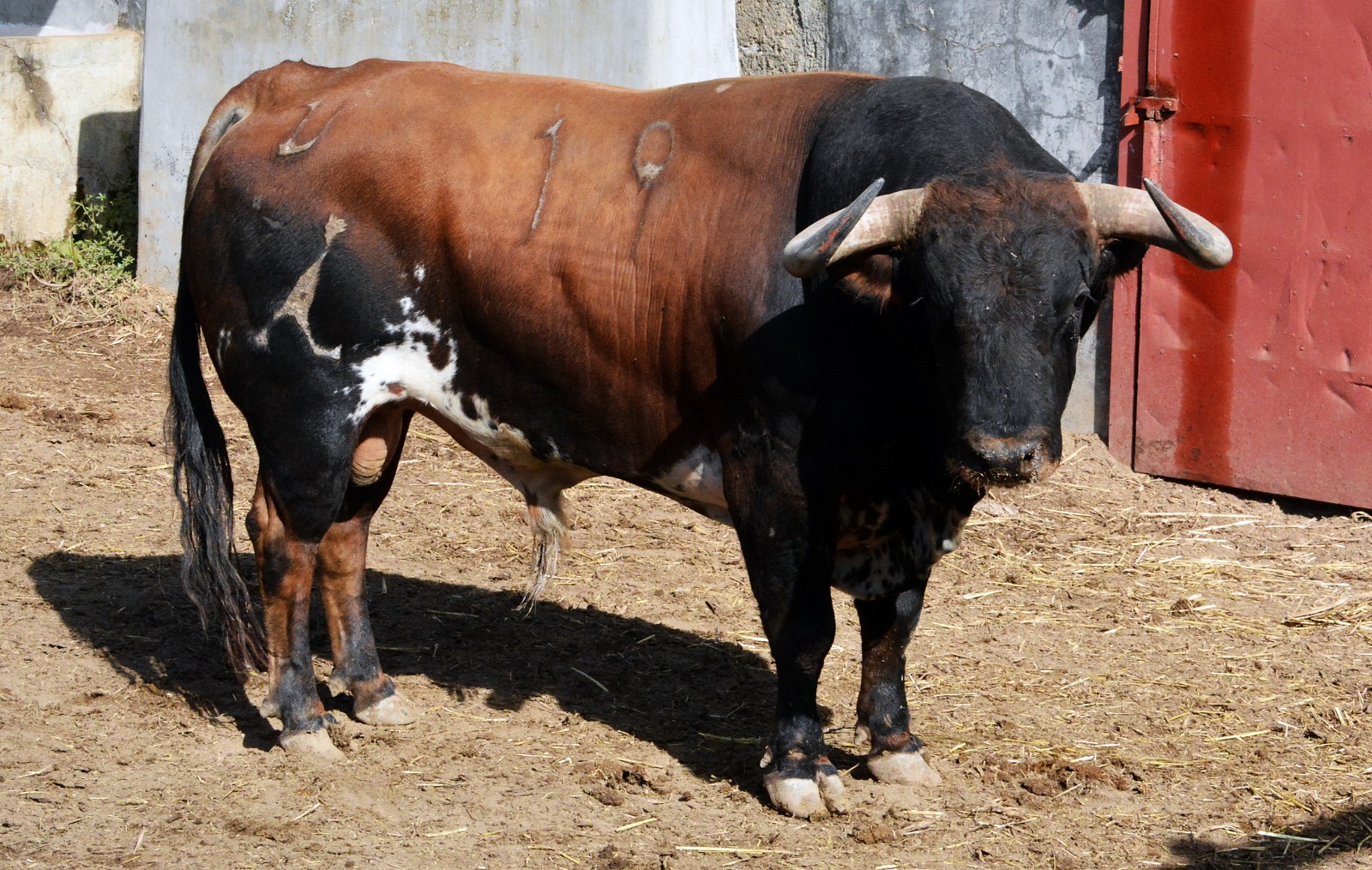 Sorteo, Colmenar Viejo 26 de agosto de 2018