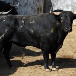 Sorteo, Colmenar Viejo 26 de agosto de 2018