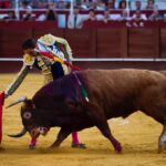 Málaga, 12 de agosto de 2018