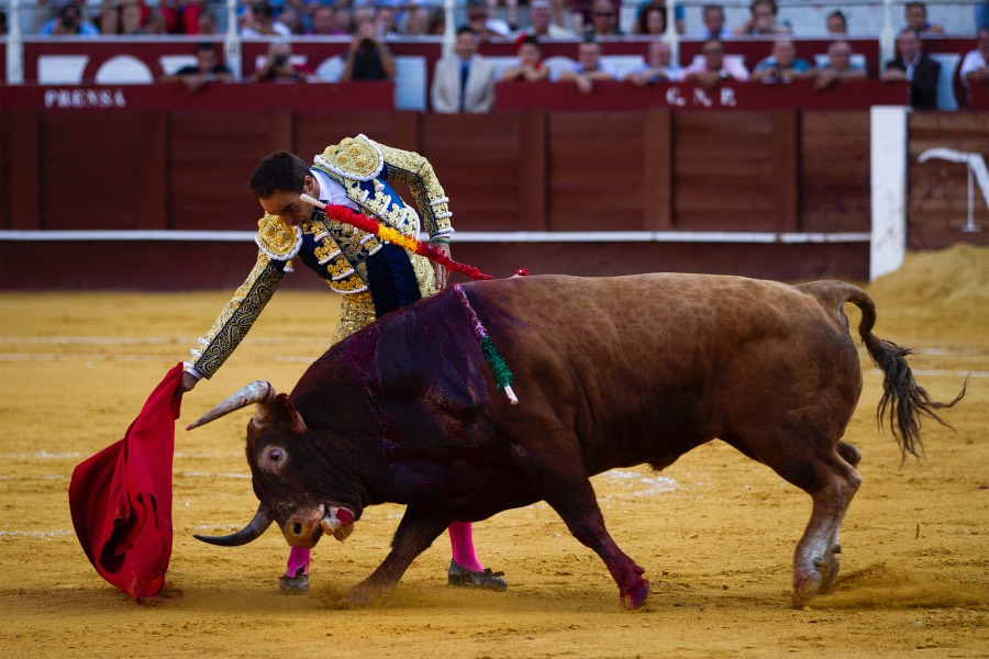 Málaga, 12 de agosto de 2018