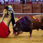 Málaga, 12 de agosto de 2018