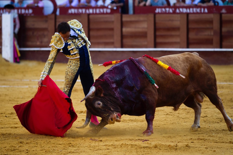 Málaga, 12 de agosto de 2018