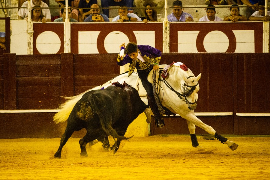 Málaga, 19 de agosto de 2018