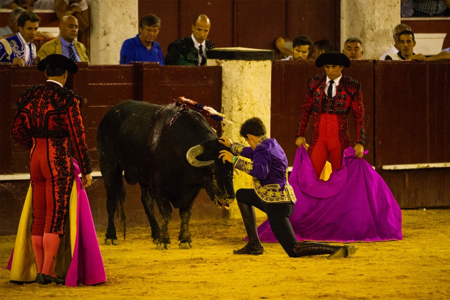 Málaga, 19 de agosto de 2018