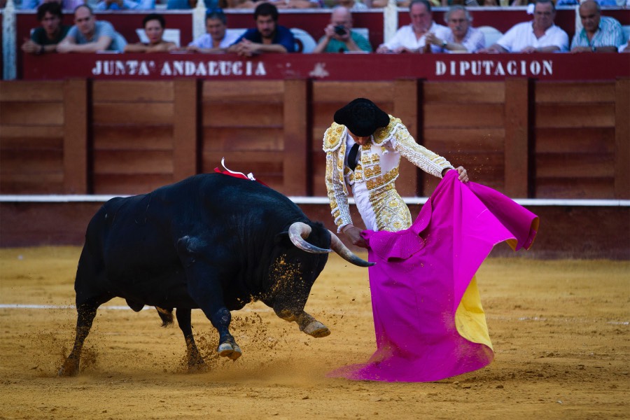 Málaga, 12 de agosto de 2018