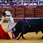 Málaga, 12 de agosto de 2018