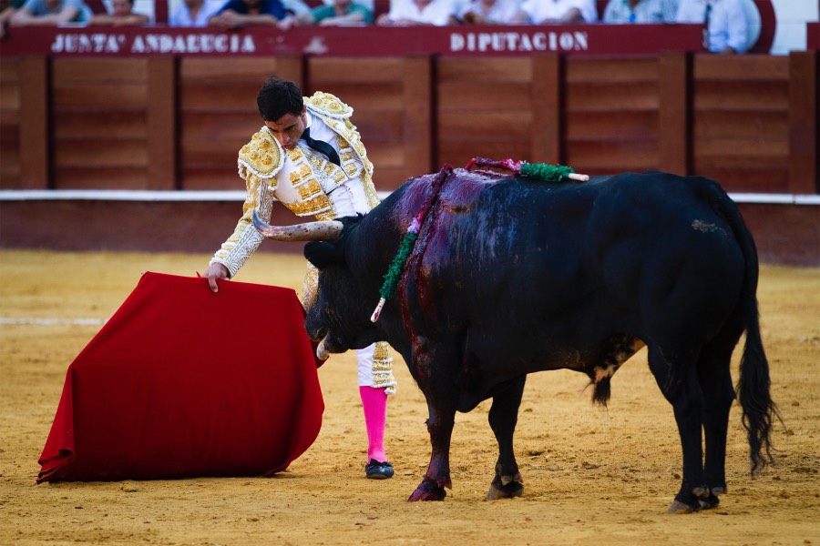 Málaga, 12 de agosto de 2018