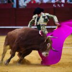 Málaga, 12 de agosto de 2018