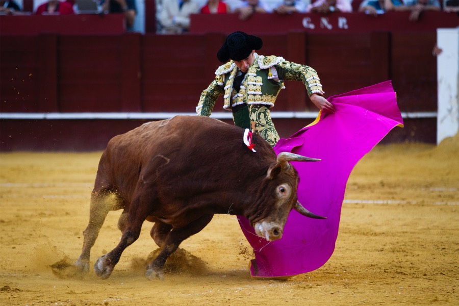 Málaga, 12 de agosto de 2018