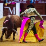 Málaga, 12 de agosto de 2018