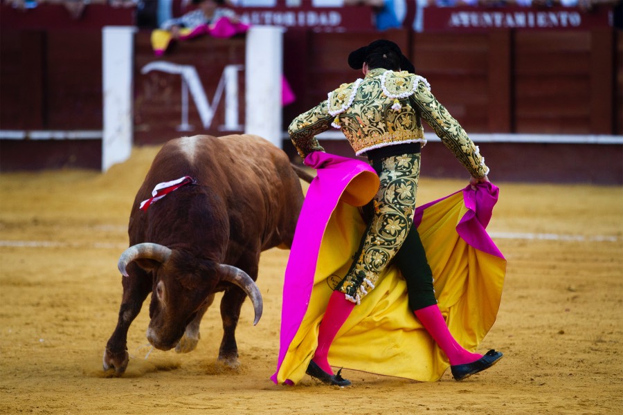 Málaga, 12 de agosto de 2018