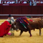 Málaga, 12 de agosto de 2018