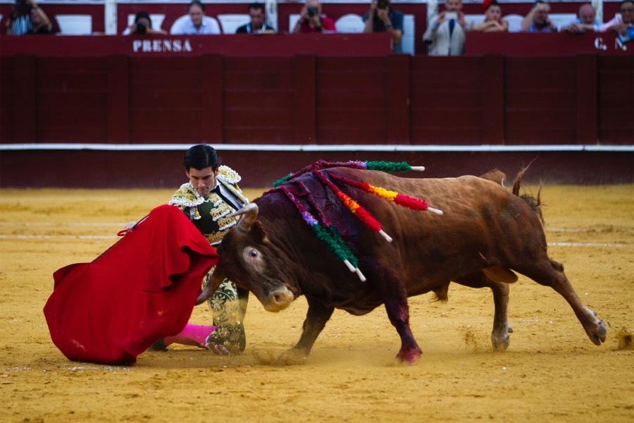 Málaga, 12 de agosto de 2018