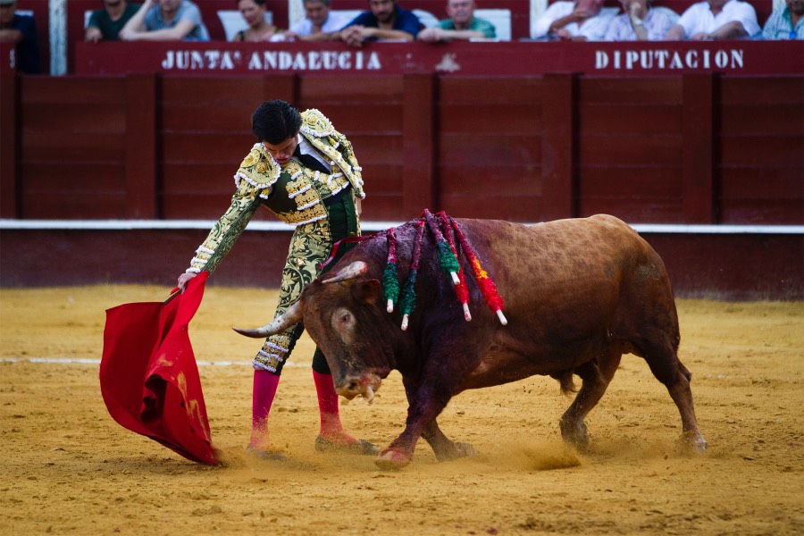 Málaga, 12 de agosto de 2018