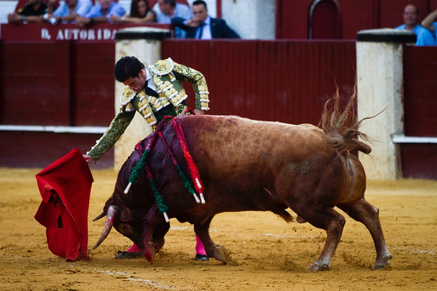 Málaga, 12 de agosto de 2018