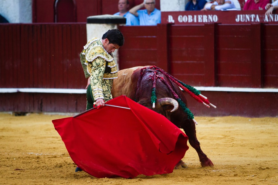 Málaga, 12 de agosto de 2018