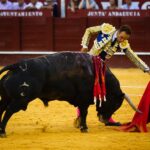 Málaga, 12 de agosto de 2018