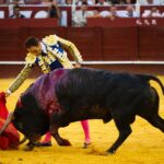 Málaga, 12 de agosto de 2018