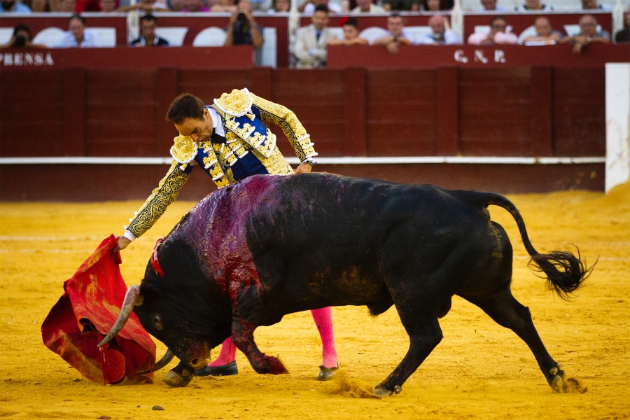 Málaga, 12 de agosto de 2018
