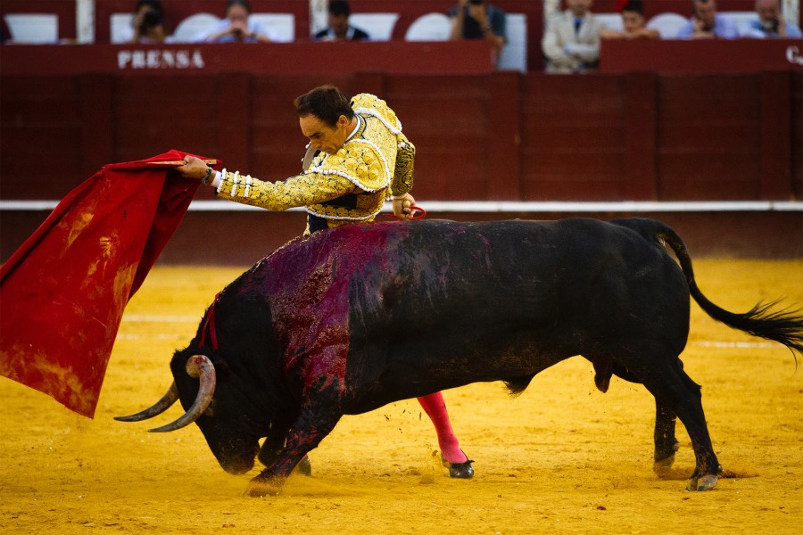 Málaga, 12 de agosto de 2018