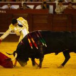 Málaga, 12 de agosto de 2018