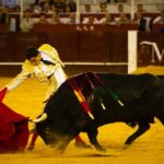 Málaga, 12 de agosto de 2018